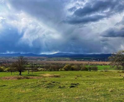 Prodej Zemědělské a lesní, Zemědělské a lesní, Zlaté Moravce, Slovensk