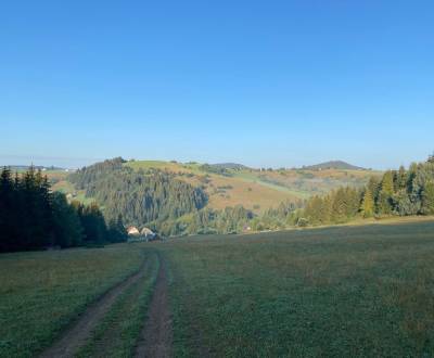 Prodej Zemědělské a lesní, Zemědělské a lesní, Detva, Slovensko