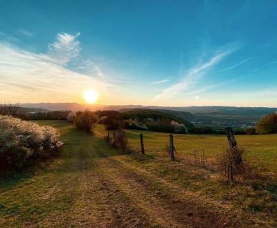 Prodej Zemědělské a lesní, Zemědělské a lesní, Trenčín, Slovensko