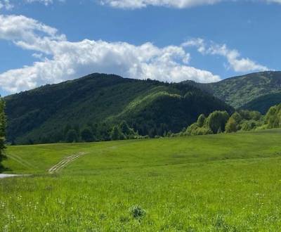 Prodej Zemědělské a lesní, Zemědělské a lesní, Brezno, Slovensko