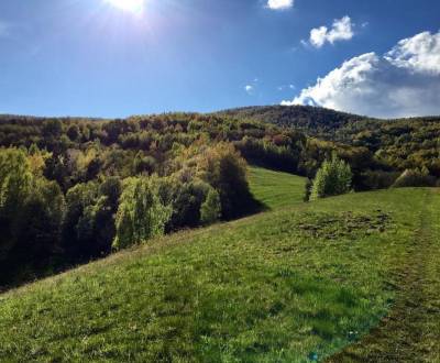 Prodej Zemědělské a lesní, Zemědělské a lesní, Revúca, Slovensko