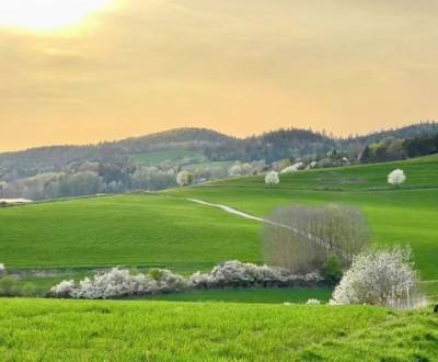 Prodej Zemědělské a lesní, Zemědělské a lesní, Banská Bystrica, Sloven