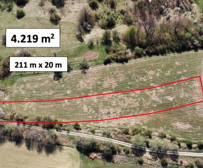 Prodej Pozemky - rekreace, Pozemky - rekreace, Nové Mesto nad Váhom, S