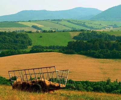 Prodej Zemědělské a lesní, Zemědělské a lesní, Vranov nad Topľou, Slov