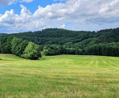 Prodej Zemědělské a lesní, Zemědělské a lesní, Krupina, Slovensko