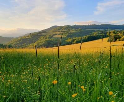 Prodej Zemědělské a lesní, Zemědělské a lesní, Žiar nad Hronom, Sloven