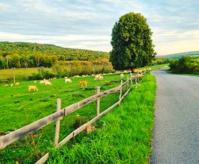 Prodej Zemědělské a lesní, Zemědělské a lesní, Lučenec, Slovensko