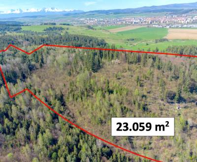 Prodej Zemědělské a lesní, Zemědělské a lesní, Spišská Nová Ves, Slove