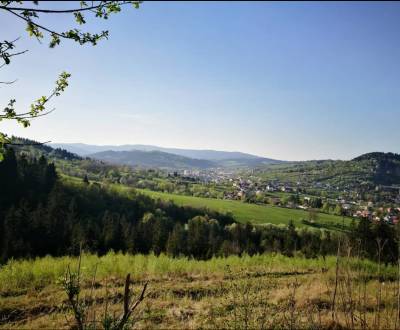 Prodej Zemědělské a lesní, Zemědělské a lesní, Čadca, Slovensko