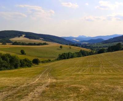 Prodej Zemědělské a lesní, Zemědělské a lesní, Púchov, Slovensko