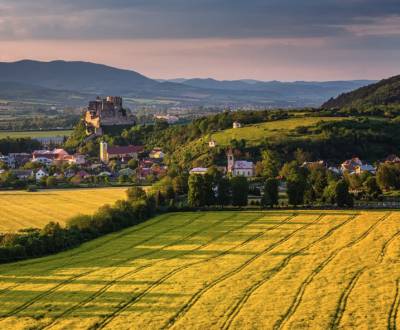 Prodej Zemědělské a lesní, Zemědělské a lesní, Nové Mesto nad Váhom, S