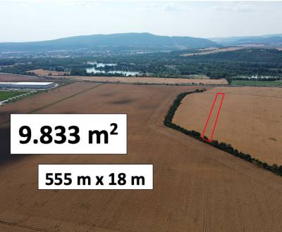 Prodej Zemědělské a lesní, Zemědělské a lesní, Nové Mesto nad Váhom, S