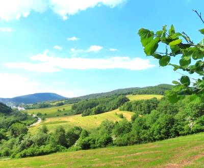 Prodej Zemědělské a lesní, Zemědělské a lesní, Medzilaborce, Slovensko