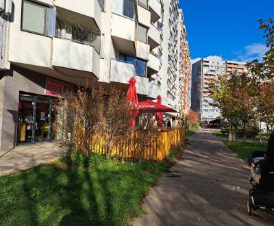 Prodej Byt 2+1, Byt 2+1, Fedinova, Bratislava - Petržalka, Slovensko