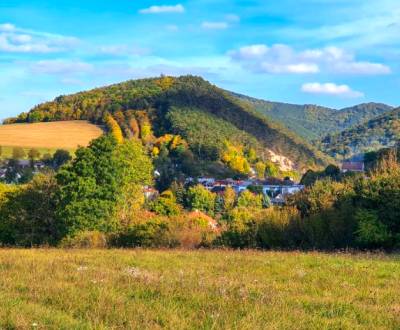 Prodej Zemědělské a lesní, Zemědělské a lesní, Myjava, Slovensko