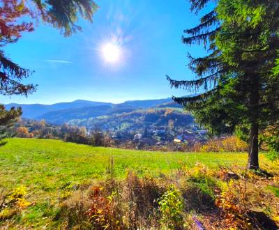 Prodej Zemědělské a lesní, Zemědělské a lesní, Žiar nad Hronom, Sloven