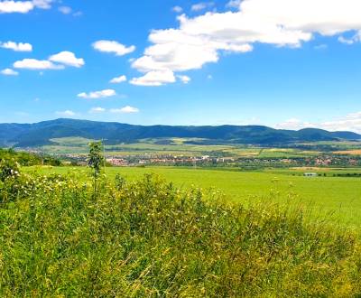 Prodej Zemědělské a lesní, Zemědělské a lesní, Sabinov, Slovensko