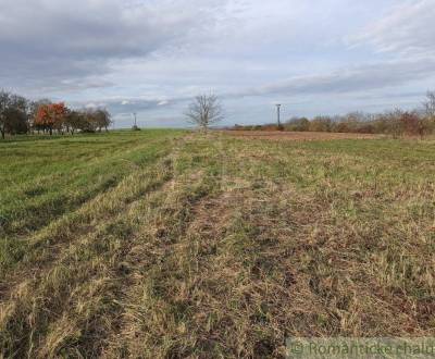 Prodej Zemědělské a lesní, Zemědělské a lesní, Vranov nad Topľou, Slov