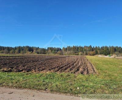 Prodej Zemědělské a lesní, Zemědělské a lesní, Liptovský Mikuláš, Slov