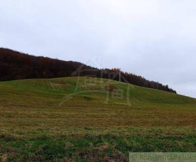 Prodej Zemědělské a lesní, Zemědělské a lesní, Humenné, Slovensko