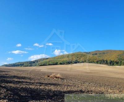 Prodej Zemědělské a lesní, Zemědělské a lesní, Púchov, Slovensko