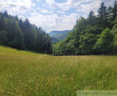 Prodej Zemědělské a lesní, Zemědělské a lesní, Púchov, Slovensko