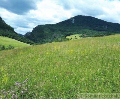 Prodej Zahrady, Zahrady, Považská Bystrica, Slovensko