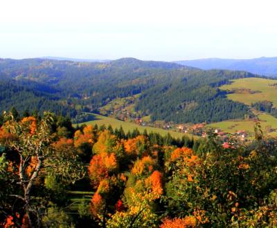 Prodej Zemědělské a lesní, Zemědělské a lesní, Čadca, Slovensko