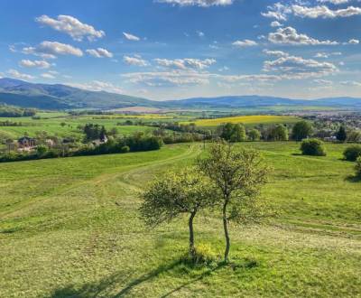 Prodej Zemědělské a lesní, Zemědělské a lesní, Trenčín, Slovensko