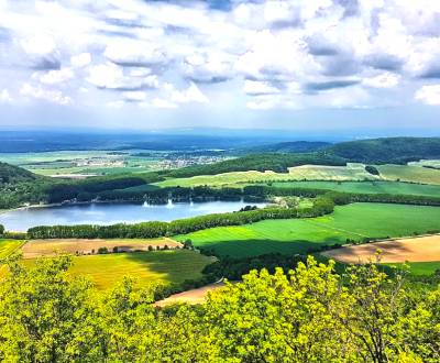 Prodej Zemědělské a lesní, Zemědělské a lesní, Trnava, Slovensko