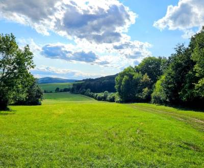 Prodej Zemědělské a lesní, Zemědělské a lesní, Piešťany, Slovensko