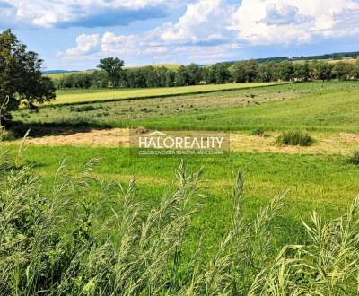 Prodej Pozemky - bydlení, Poltár, Slovensko