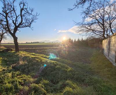 Prodej Pozemky - bydlení, Pozemky - bydlení, Čemerné, Vranov nad Topľo