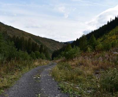 Prodej Zemědělské a lesní, Zemědělské a lesní, Prievidza, Slovensko