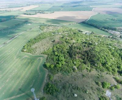 PRODEJ - Pozemek s krásnými výhledy v lesním prostředí - Podhorany