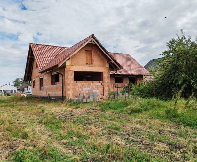 Prodej Rodinný dům, Rodinný dům, Hlohovec, Slovensko