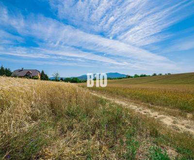 Prodej Pozemky - bydlení, Pozemky - bydlení, Nitra, Slovensko