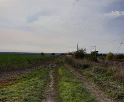 Prodej Zemědělské a lesní, Zemědělské a lesní, Pezinok, Slovensko