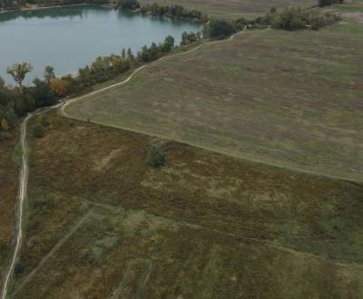 Prodej Zemědělské a lesní, Zemědělské a lesní, Hviezdoslavova, Senec, 