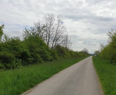 Prodej Zemědělské a lesní, Zemědělské a lesní, Pezinok, Slovensko