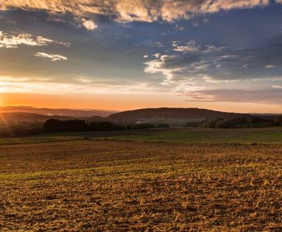 Prodej Zemědělské a lesní, Zemědělské a lesní, Trebišov, Slovensko