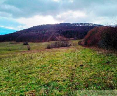 Prodej Zemědělské a lesní, Zemědělské a lesní, Nové Mesto nad Váhom, S