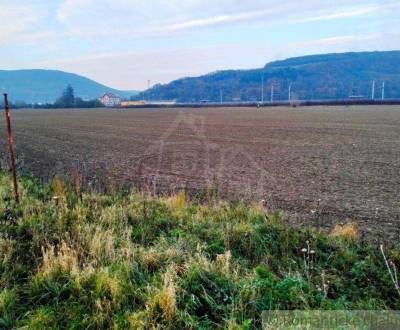 Prodej Zemědělské a lesní, Zemědělské a lesní, Nové Mesto nad Váhom, S