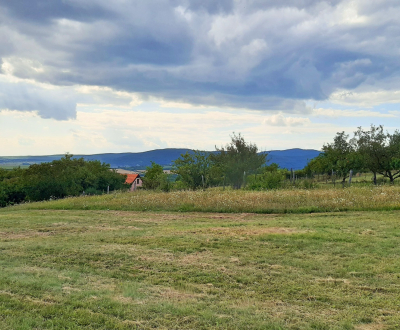 Prodej Pozemky - rekreace, Pozemky - rekreace, Horné Jabloňovce, Levic