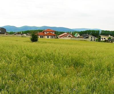 Prodej Pozemky - bydlení, Pozemky - bydlení, Centrum, Trnava, Slovensk