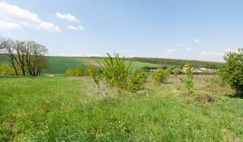 Prodej Pozemky - bydlení, Pozemky - bydlení, Nitra, Slovensko