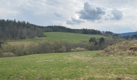 Prodej Pozemky - rekreace, Pozemky - rekreace, Dolný Kubín, Slovensko