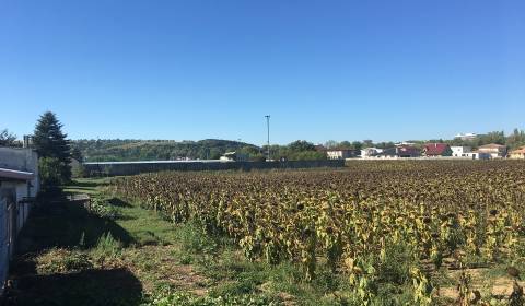 Pozemky - bydlení, prodej, Piešťany, Slovensko