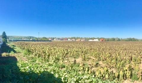 Pozemky - bydlení, prodej, Piešťany, Slovensko