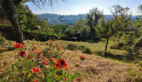 Prodej Zahrady, Zahrady, Spätná cesta, Bratislava - Devín, Slovensko